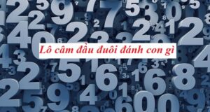 7 Phương Pháp Soi Cầu Lô Đầu Đuôi Hiệu Quả